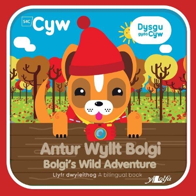 Cyfres Cyw: Antur Wyllt Bolgi / Bolgi's Wild Adventure