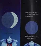 Loon in the Moon