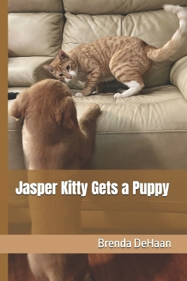 Jasper Kitty Gets a Puppy