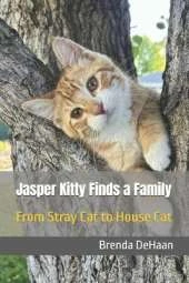 Jasper Kitty Finds a Family: From Stray Cat to House Cat
