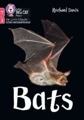 Bats: Phase 2 Set 5
