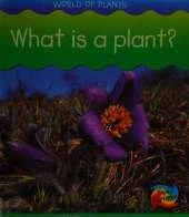What is a Plant