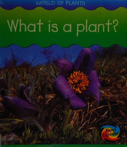What is a Plant