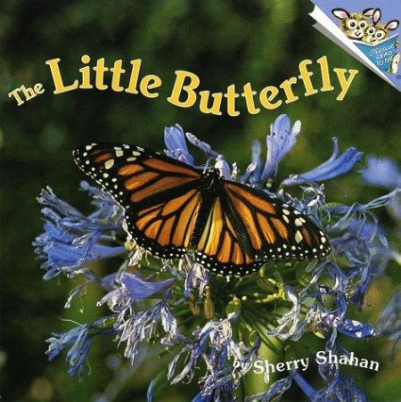 The Little Butterfly