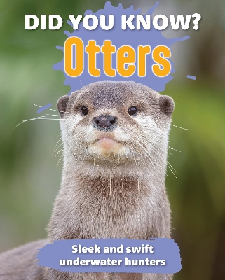 Did You Know? Otters: Sleek and swift underwater hunters