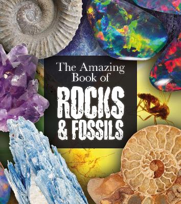 The Amazing Book of Rocks and Fossils