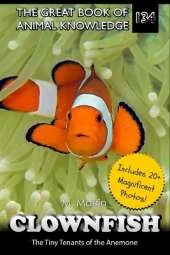 Clownfish: The Tiny Tenants of the Anemone