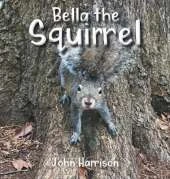 Bella the Squirrel