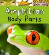 Amphibian Body Parts