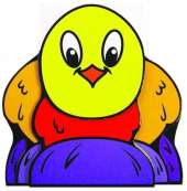 Chick
