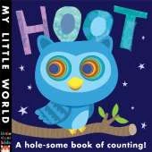 Hoot: A hole-some book of counting!