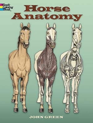 Horse Anatomy Coloring Book