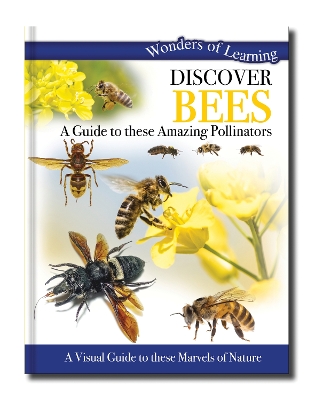 Discover Bees: A Guide to These Amazing Pollinators