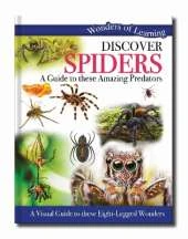Discover Spiders: A Guide to These Amazing Predators