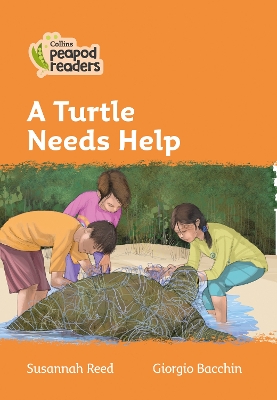 A Turtle Needs Help: Level 4