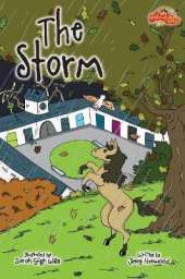 The Storm