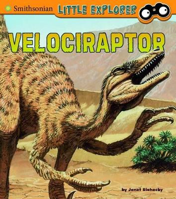 Little Paleontologist Velociraptor