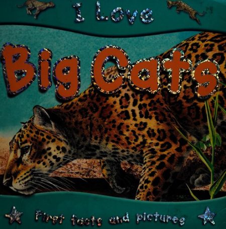 I Love Big Cats