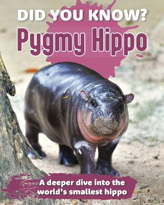 Did You Know? Pygmy Hippo: A deeper dive into the world's smallest hippo