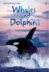 Discovery Whales and Dolphins