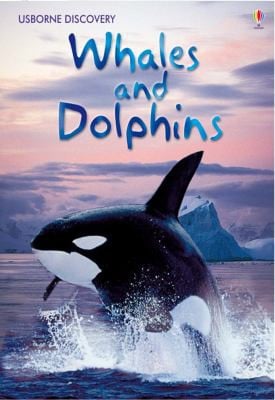 Discovery Whales and Dolphins