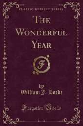 The Wonderful Year (Classic Reprint)