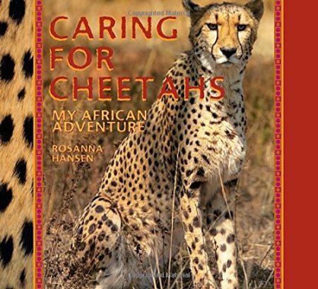 Caring for Cheetahs