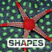 Shapes: Picture This
