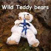 Wild Teddy bears 2019: Some fun with the Teddy bears. Monthly calender