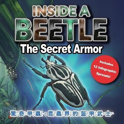 Inside a Beetle: The Secret Armor