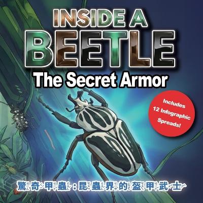 Inside a Beetle: The Secret Armor