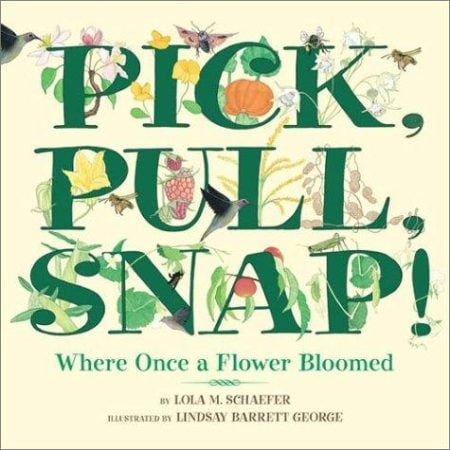 Pick, Pull, Snap!: Where Once a Flower Bloomed