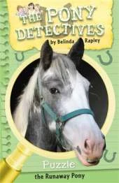 Puzzle: The Runaway Pony