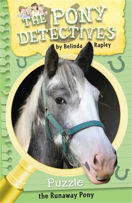 Puzzle: The Runaway Pony