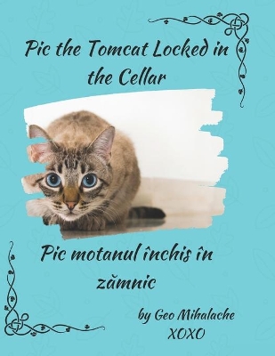 Pic the Tomcat Locked in the Cellar - Motanul Pic închis în zămnic: Poveste bilingvă engleză româna pentru copii / English Romanian Story for Children