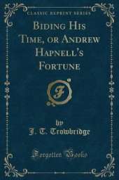 Biding His Time, or Andrew Hapnell's Fortune (Classic Reprint)