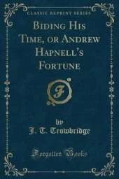 Biding His Time, or Andrew Hapnell's Fortune (Classic Reprint)