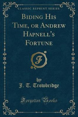 Biding His Time, or Andrew Hapnell's Fortune (Classic Reprint)