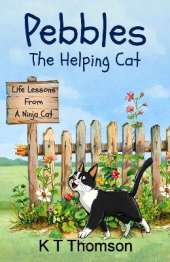 Pebbles The Helping Cat
