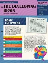 The Developing Brain: Exploring the Cognitive Domain