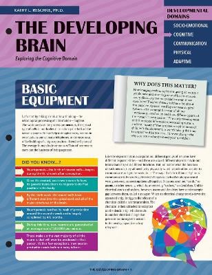 The Developing Brain: Exploring the Cognitive Domain