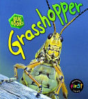 Grasshopper
