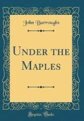 Under the Maples (Classic Reprint)