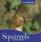 Squirrels