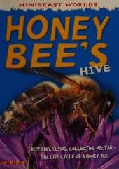 Honey Bee's Hive