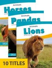 Animals (Set of 10)