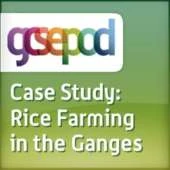 Farming: Case Study: Intensive Rice Farming in the Ganges Delta