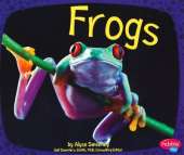 Amphibians Frogs