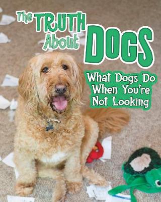 The Truth about Dogs: What Dogs Do When You're Not Looking