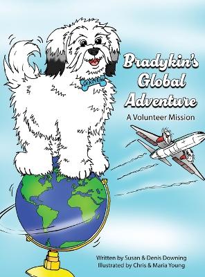 Bradykin's Global Adventure: A Volunteer Mission